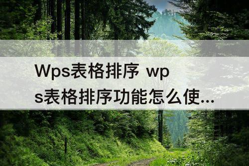 Wps表格排序 wps表格排序功能怎么使用