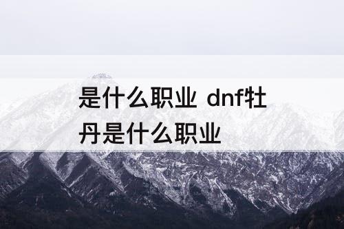 是什么职业 dnf牡丹是什么职业