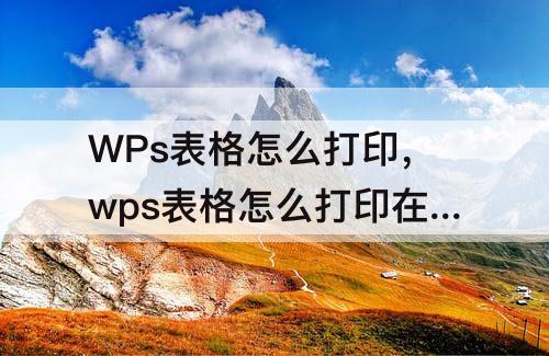 WPs表格怎么打印，wps表格怎么打印在一张纸上