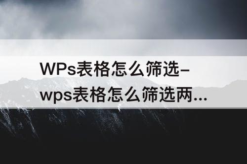 WPs表格怎么筛选-wps表格怎么筛选两列数据的重复项