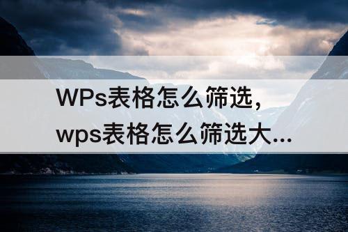 WPs表格怎么筛选，wps表格怎么筛选大于50的数字