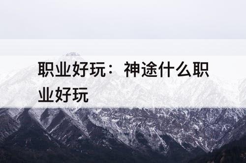 职业好玩：神途什么职业好玩