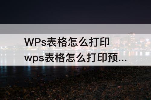 WPs表格怎么打印 wps表格怎么打印预览选定区域