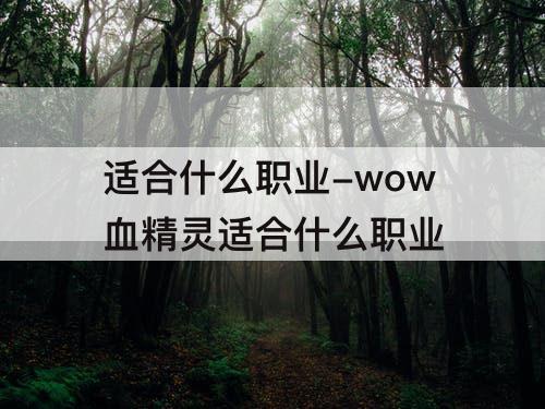 适合什么职业-wow血精灵适合什么职业