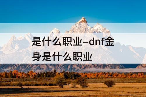 是什么职业-dnf金身是什么职业