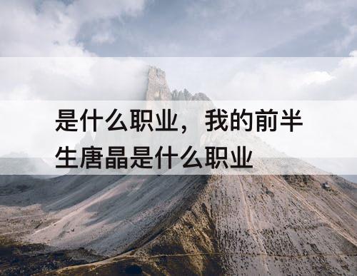 是什么职业，我的前半生唐晶是什么职业