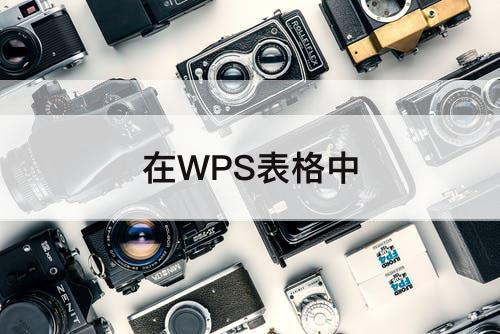 在WPS表格中