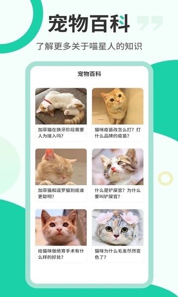 猫语翻译机  v2.6.3图1