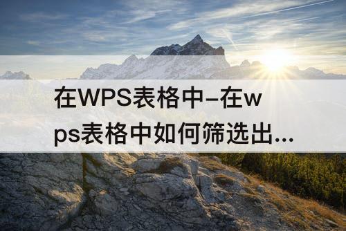 在WPS表格中-在wps表格中如何筛选出自己想要的内容