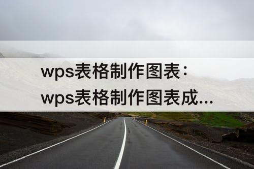 wps表格制作图表：wps表格制作图表成空白