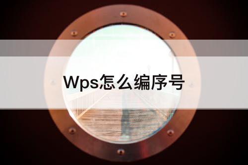 Wps怎么编序号