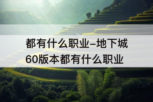 都有什么职业-地下城60版本都有什么职业