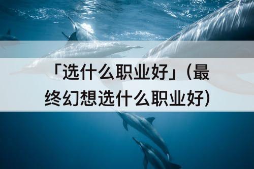 「选什么职业好」(最终幻想选什么职业好)