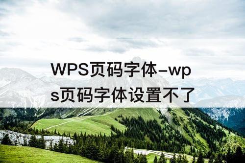WPS页码字体-wps页码字体设置不了