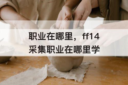 职业在哪里，ff14采集职业在哪里学