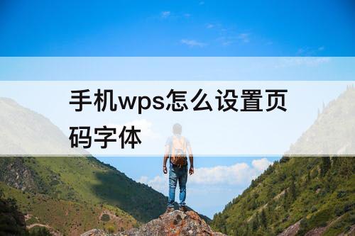 手机wps怎么设置页码字体