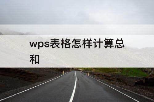 wps表格怎样计算总和
