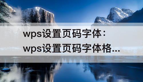 wps设置页码字体：wps设置页码字体格式