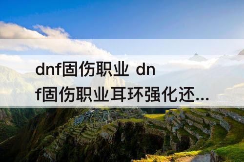 dnf固伤职业 dnf固伤职业耳环强化还是增幅
