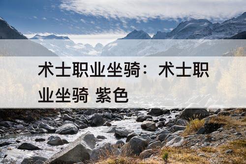 术士职业坐骑：术士职业坐骑 紫色