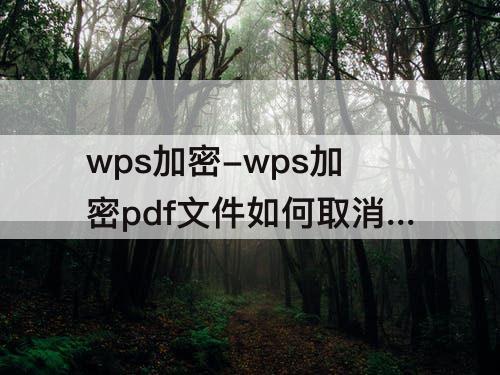 wps加密-wps加密pdf文件如何取消加密