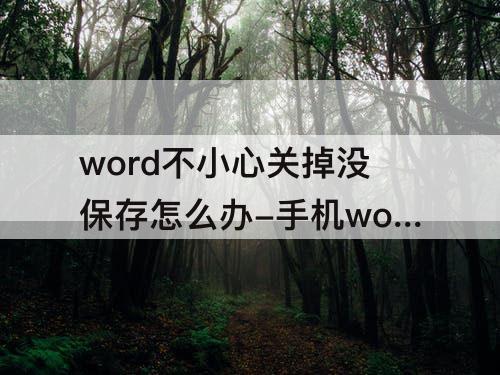word不小心关掉没保存怎么办-手机word不小心关掉没保存怎么办