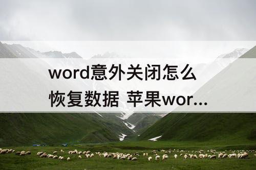 word意外关闭怎么恢复数据 苹果word意外关闭怎么恢复数据