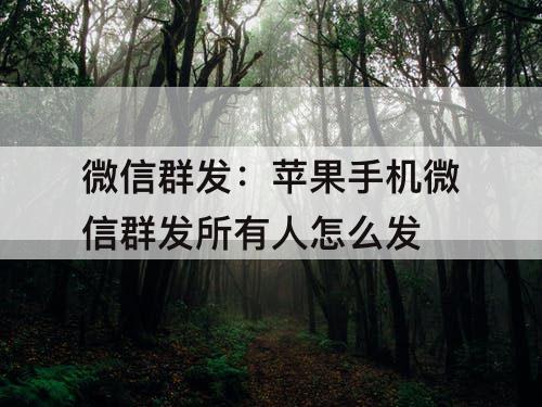 微信群发：苹果手机微信群发所有人怎么发
