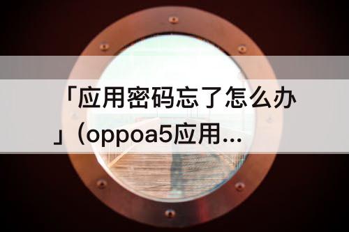 「应用密码忘了怎么办」(oppoa5应用密码忘了怎么办)