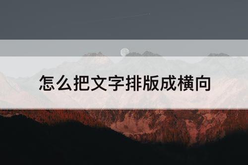 怎么把文字排版成横向