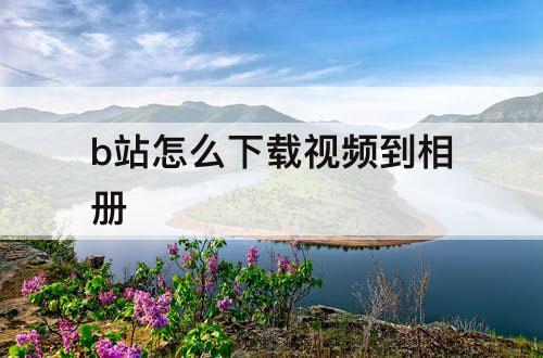 b站怎么下载视频到相册