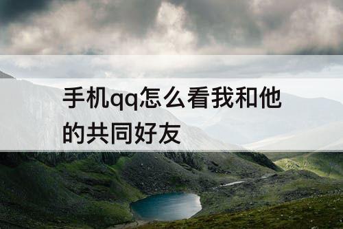手机qq怎么看我和他的共同好友