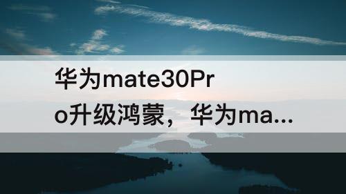 华为mate30Pro升级鸿蒙，华为mate30pro升级鸿蒙2.0.0.138怎么样
