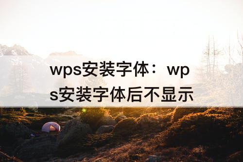 wps安装字体：wps安装字体后不显示