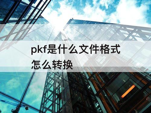 pkf是什么文件格式怎么转换