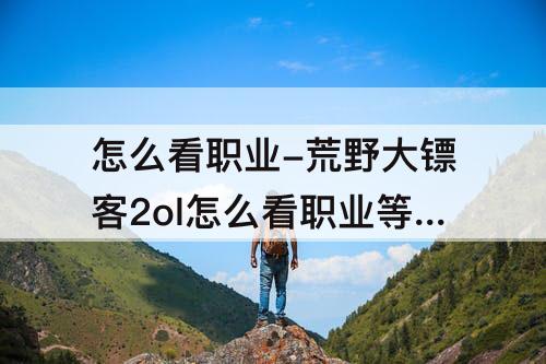 怎么看职业-荒野大镖客2ol怎么看职业等级