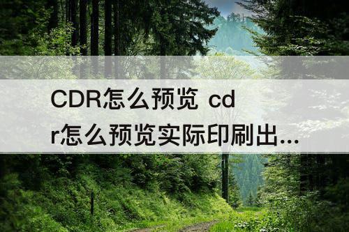 CDR怎么预览 cdr怎么预览实际印刷出来的效果