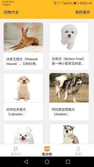 口袋乐看赚钱版下载安装  v1.6.0图2