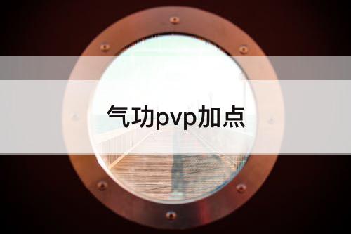 气功pvp加点
