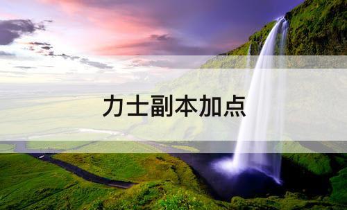 力士副本加点