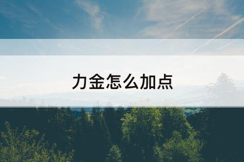 力金怎么加点