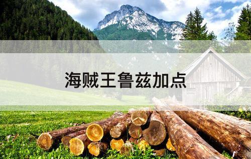 海贼王鲁兹加点
