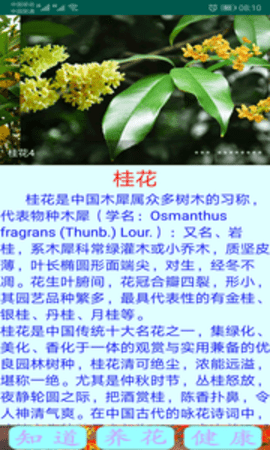 绿植花卉免费版