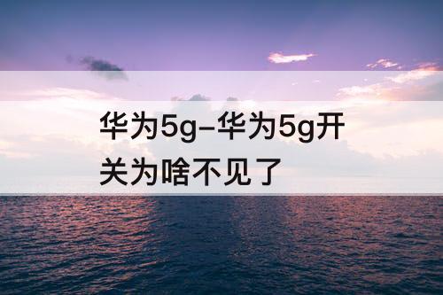 华为5g-华为5g开关为啥不见了