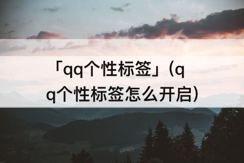 「qq个性标签」(qq个性标签怎么开启)