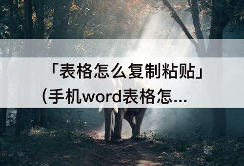 「表格怎么复制粘贴」(手机word表格怎么复制粘贴多行多列)