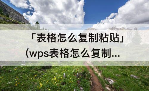 「表格怎么复制粘贴」(wps表格怎么复制粘贴后与原来格式一样行高)