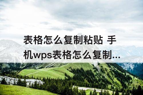 表格怎么复制粘贴 手机wps表格怎么复制粘贴往下拉