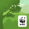 wwf森林下载