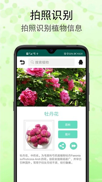 识花草  v1.2.5图3